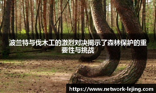 乐竞体育网址